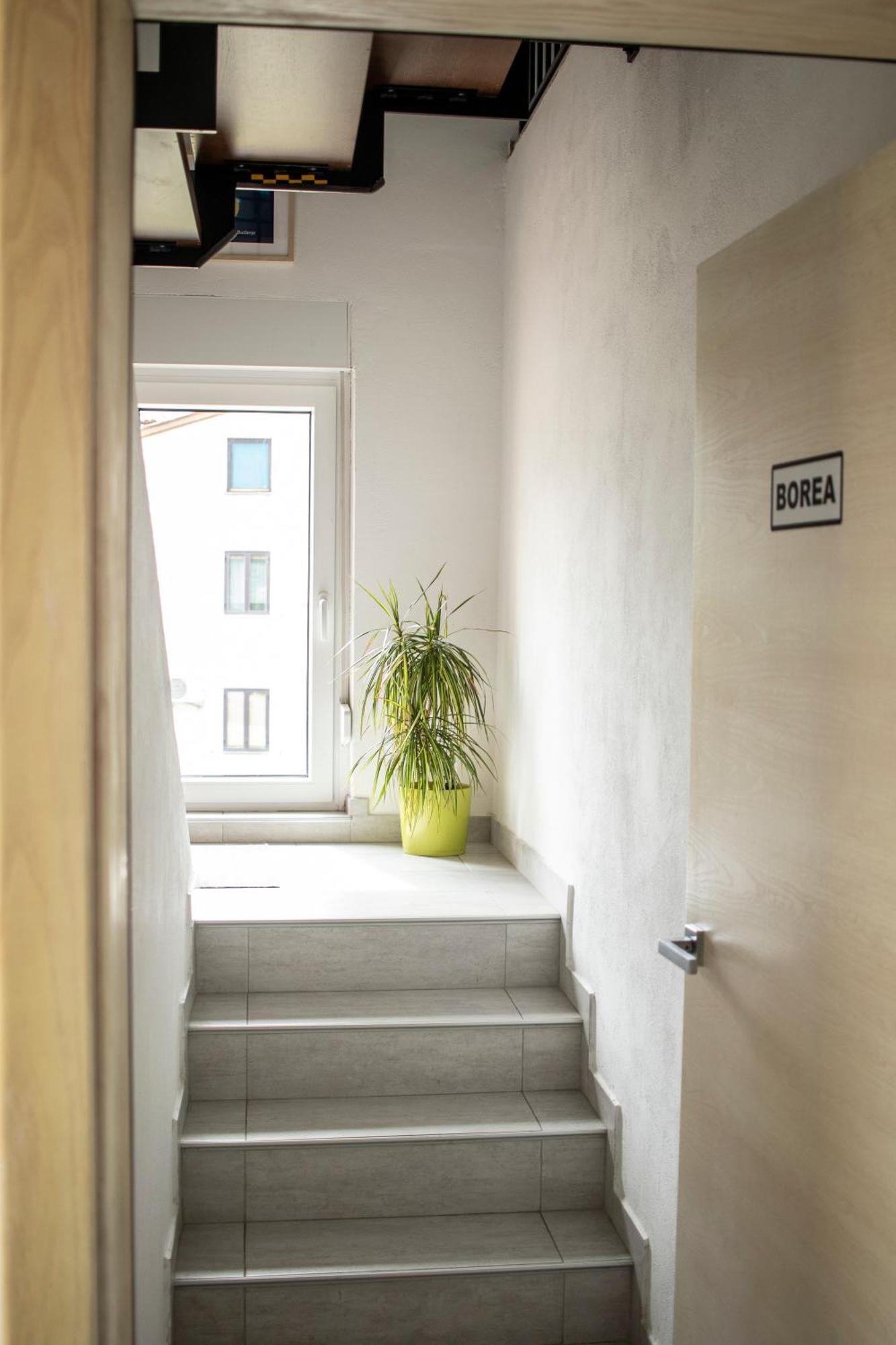 Borea Rooms - Sobe Budanje Vipava Dış mekan fotoğraf